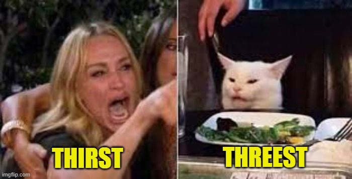 Woman shouting at cat | THIRST THREEST | image tagged in woman shouting at cat | made w/ Imgflip meme maker