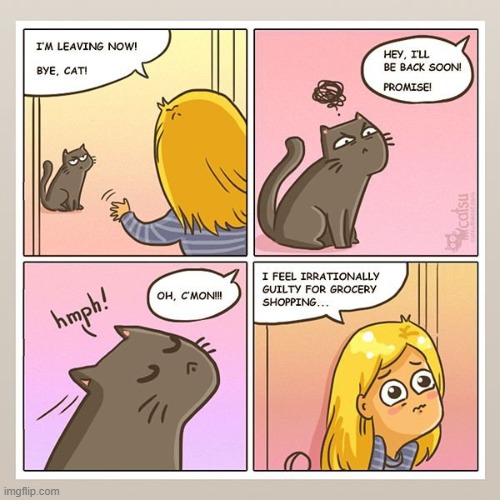 I didn't know cats cared about their owners leaving o-o | made w/ Imgflip meme maker