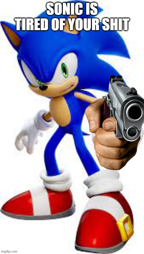 Sonic Is Tired Of Your Bull Shit | image tagged in sonic the hedgehog,sonic,sonic says,guns,threats | made w/ Imgflip meme maker