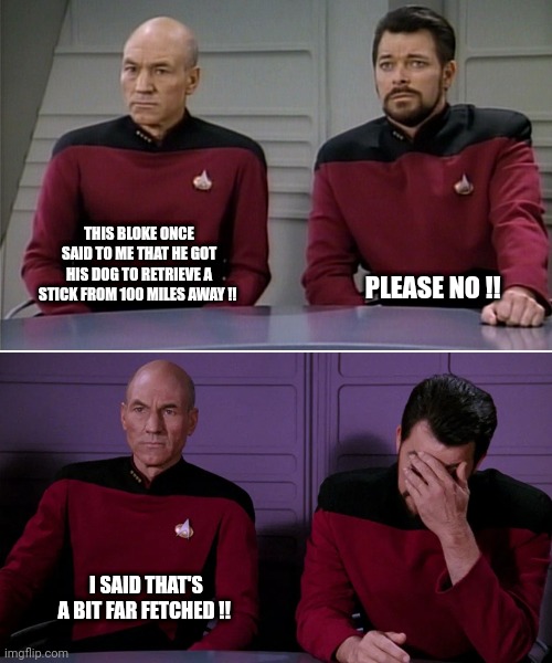 Picard Riker listening to a pun | THIS BLOKE ONCE SAID TO ME THAT HE GOT HIS DOG TO RETRIEVE A STICK FROM 100 MILES AWAY !! PLEASE NO !! I SAID THAT'S A BIT FAR FETCHED !! | image tagged in picard riker listening to a pun | made w/ Imgflip meme maker