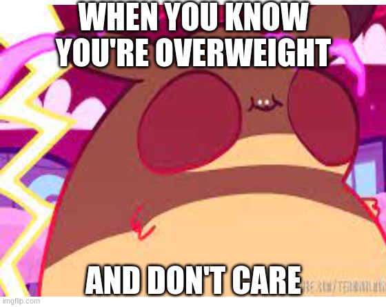 Pokememe | WHEN YOU KNOW YOU'RE OVERWEIGHT; AND DON'T CARE | image tagged in funny memes | made w/ Imgflip meme maker