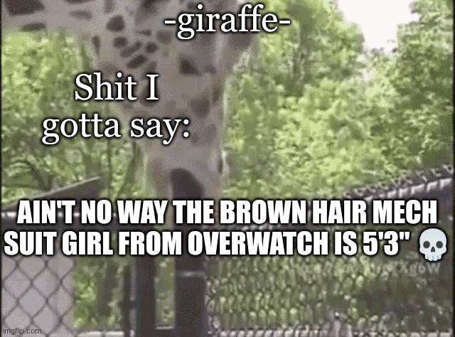 i forgor her name | AIN'T NO WAY THE BROWN HAIR MECH SUIT GIRL FROM OVERWATCH IS 5'3" 💀 | image tagged in -giraffe- | made w/ Imgflip meme maker