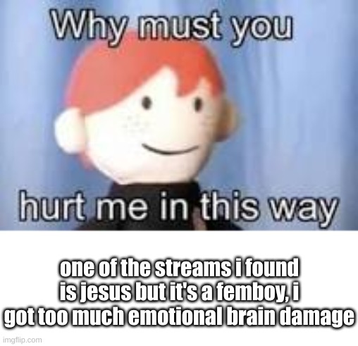 Why must you hurt me in this way | one of the streams i found is jesus but it's a femboy, i got too much emotional brain damage | image tagged in why must you hurt me in this way | made w/ Imgflip meme maker