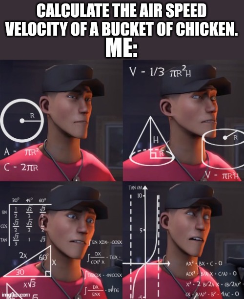 I got a bucket of chicken. | ME:; CALCULATE THE AIR SPEED VELOCITY OF A BUCKET OF CHICKEN. | image tagged in scout confused | made w/ Imgflip meme maker