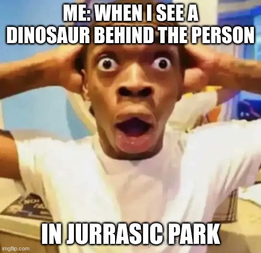 Shocked black guy | ME: WHEN I SEE A DINOSAUR BEHIND THE PERSON; IN JURRASIC PARK | image tagged in shocked black guy | made w/ Imgflip meme maker