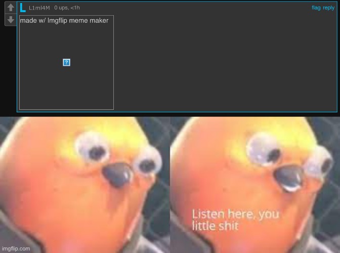 made w/ Imgflip meme maker