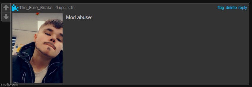 Mod abuse | image tagged in mod abuse | made w/ Imgflip meme maker