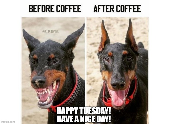 HAPPY TUESDAY! HAVE A NICE DAY! | made w/ Imgflip meme maker