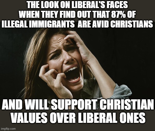 maybe there could be an upside to this invasion | THE LOOK ON LIBERAL'S FACES WHEN THEY FIND OUT THAT 87% OF ILLEGAL IMMIGRANTS  ARE AVID CHRISTIANS; AND WILL SUPPORT CHRISTIAN VALUES OVER LIBERAL ONES | image tagged in stupid liberals,truth,christianity,illegal aliens,funny memes,political meme | made w/ Imgflip meme maker