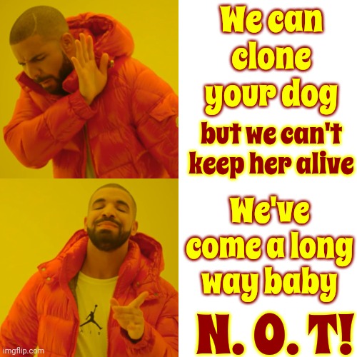 Only Youth Wants To Live Forever | We can clone your dog; but we can't keep her alive; We've come a long way baby; N. O. T! | image tagged in memes,drake hotline bling,death,bye bye love,clones,auzzie | made w/ Imgflip meme maker