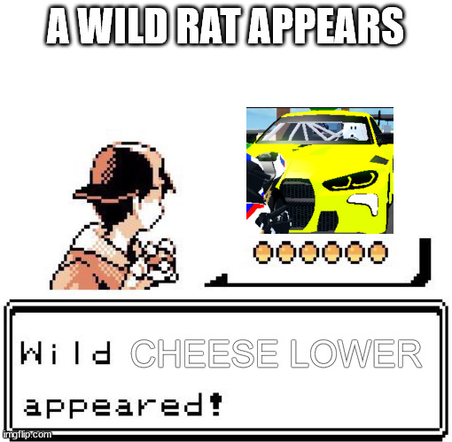 Blank Wild Pokemon Appears | A WILD RAT APPEARS; CHEESE LOWER | image tagged in blank wild pokemon appears | made w/ Imgflip meme maker