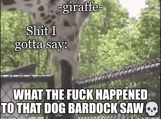 -giraffe- | WHAT THE FUCK HAPPENED TO THAT DOG BARDOCK SAW💀 | image tagged in -giraffe- | made w/ Imgflip meme maker