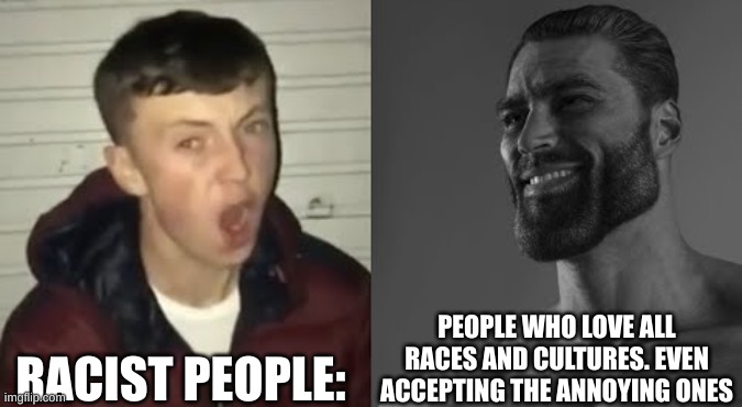 Average Enjoyer meme | RACIST PEOPLE:; PEOPLE WHO LOVE ALL RACES AND CULTURES. EVEN ACCEPTING THE ANNOYING ONES | image tagged in average enjoyer meme | made w/ Imgflip meme maker