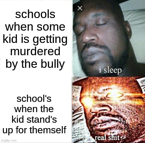 sometimes it's just like this | schools when some kid is getting murdered by the bully; school's when the kid stand's up for themself | image tagged in memes,sleeping shaq | made w/ Imgflip meme maker