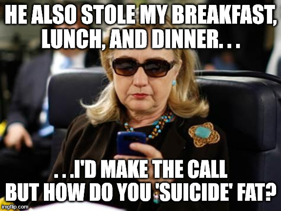 Hillary Clinton Cellphone Meme | HE ALSO STOLE MY BREAKFAST, LUNCH, AND DINNER. . . . . .I'D MAKE THE CALL BUT HOW DO YOU 'SUICIDE' FAT? | image tagged in memes,hillary clinton cellphone | made w/ Imgflip meme maker