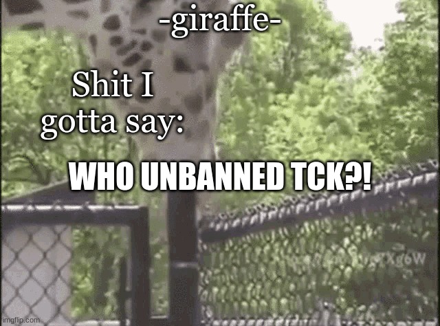 -giraffe- | WHO UNBANNED TCK?! | image tagged in -giraffe- | made w/ Imgflip meme maker