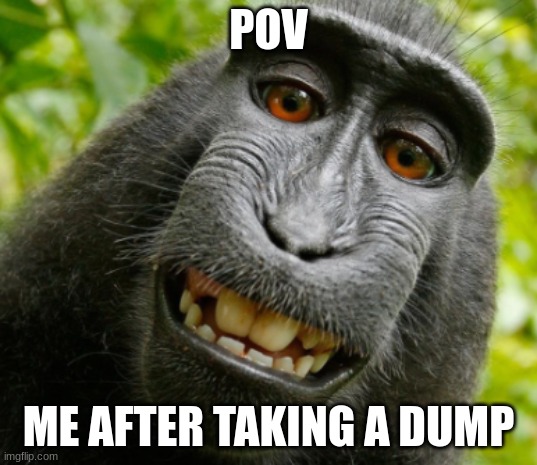 POV; ME AFTER TAKING A DUMP | image tagged in monkey | made w/ Imgflip meme maker