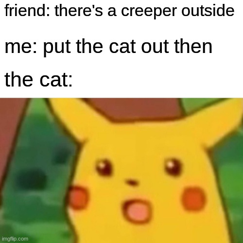 Surprised Pikachu Meme | friend: there's a creeper outside; me: put the cat out then; the cat: | image tagged in memes,surprised pikachu | made w/ Imgflip meme maker