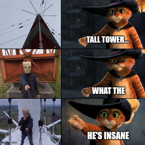 Puss in Boots, lattice climbing meme | TALL TOWER... WHAT THE; HE'S INSANE | image tagged in puss in boots,lattice climbing,gittersteigen,meme,gato,template | made w/ Imgflip meme maker