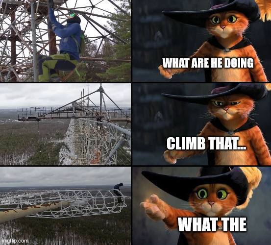 Puss in Boots, BNT Lattice Climbing | WHAT ARE HE DOING; CLIMB THAT... WHAT THE | image tagged in bnt,meme,lattice climbing,puss in boots,germany,template | made w/ Imgflip meme maker