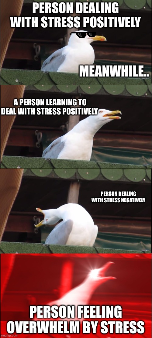 Inhaling Seagull | PERSON DEALING WITH STRESS POSITIVELY; MEANWHILE.. A PERSON LEARNING TO DEAL WITH STRESS POSITIVELY; PERSON DEALING WITH STRESS NEGATIVELY; PERSON FEELING OVERWHELM BY STRESS | image tagged in memes,inhaling seagull | made w/ Imgflip meme maker