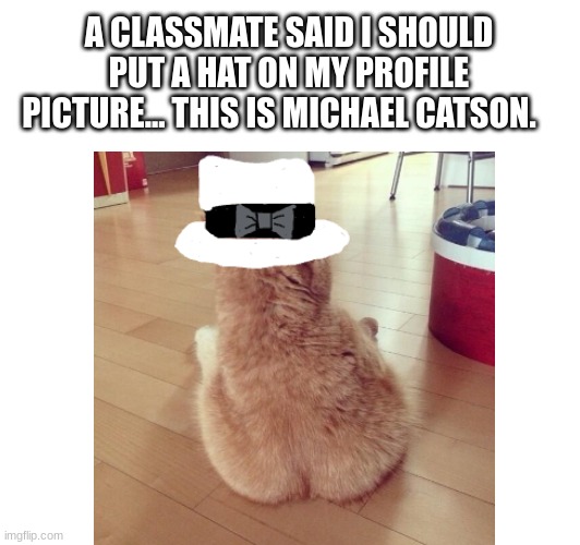 ...Michael Catson. | A CLASSMATE SAID I SHOULD PUT A HAT ON MY PROFILE PICTURE... THIS IS MICHAEL CATSON. | image tagged in michael catson,hee hee,kitty,cute,butt | made w/ Imgflip meme maker