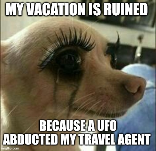 My travel agent has been abducted by aliens | MY VACATION IS RUINED; BECAUSE A UFO ABDUCTED MY TRAVEL AGENT | image tagged in mascara chihuahua,ufo | made w/ Imgflip meme maker