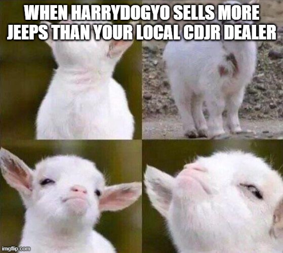 Smug Goat | WHEN HARRYDOGYO SELLS MORE JEEPS THAN YOUR LOCAL CDJR DEALER | image tagged in smug goat | made w/ Imgflip meme maker