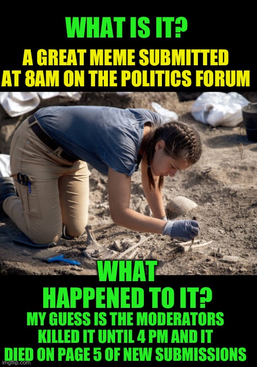 Nope | A GREAT MEME SUBMITTED AT 8AM ON THE POLITICS FORUM; WHAT IS IT? WHAT HAPPENED TO IT? MY GUESS IS THE MODERATORS KILLED IT UNTIL 4 PM AND IT DIED ON PAGE 5 OF NEW SUBMISSIONS | image tagged in moderators | made w/ Imgflip meme maker