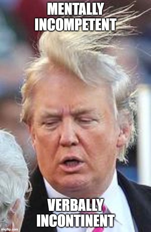 trump bad hair day | MENTALLY INCOMPETENT; VERBALLY INCONTINENT | image tagged in trump bad hair day | made w/ Imgflip meme maker