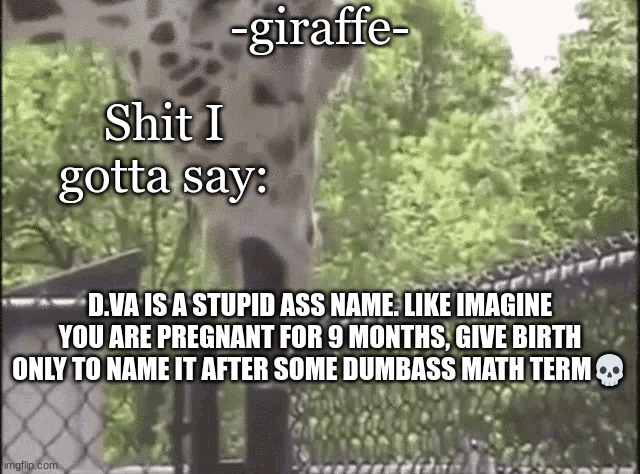 -giraffe- | D.VA IS A STUPID ASS NAME. LIKE IMAGINE YOU ARE PREGNANT FOR 9 MONTHS, GIVE BIRTH ONLY TO NAME IT AFTER SOME DUMBASS MATH TERM💀 | image tagged in -giraffe- | made w/ Imgflip meme maker