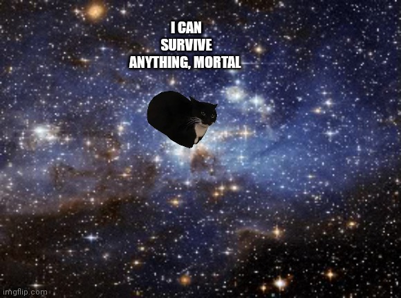 outer space | I CAN SURVIVE ANYTHING, MORTAL | image tagged in outer space | made w/ Imgflip meme maker