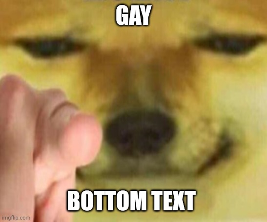 Gay! | GAY; BOTTOM TEXT | image tagged in cheems pointing at you | made w/ Imgflip meme maker