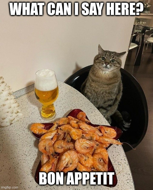 Bon appetit | WHAT CAN I SAY HERE? BON APPETIT | image tagged in stepan cat,food,beer,shrimp | made w/ Imgflip meme maker