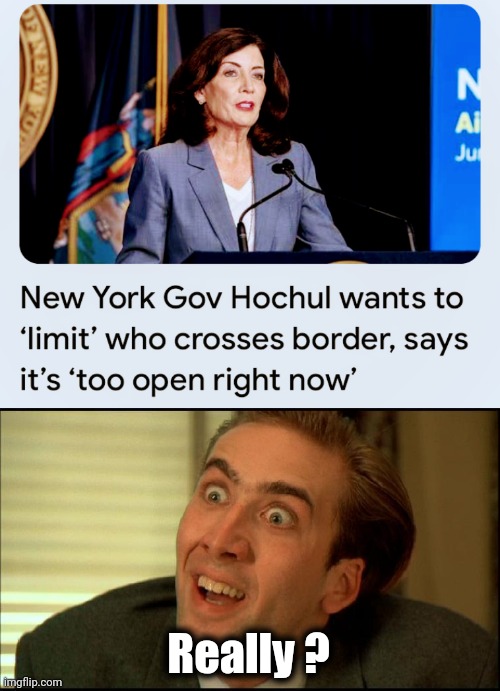 they're not completely Braindead | Really ? | image tagged in you don't say - nicholas cage,hochul,new york,woke,joke,no escape | made w/ Imgflip meme maker