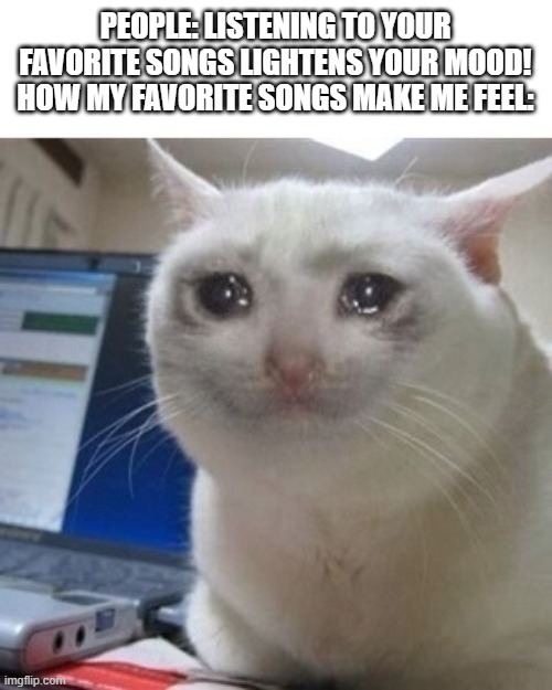 lol | PEOPLE: LISTENING TO YOUR FAVORITE SONGS LIGHTENS YOUR MOOD!
HOW MY FAVORITE SONGS MAKE ME FEEL: | image tagged in crying cat | made w/ Imgflip meme maker