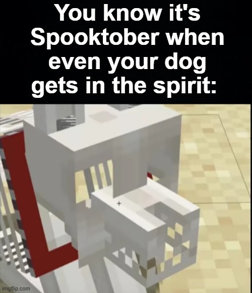 Anyone who remembers Grim deserves a medal | You know it's Spooktober when even your dog gets in the spirit: | image tagged in memes,unfunny,spooktober | made w/ Imgflip meme maker