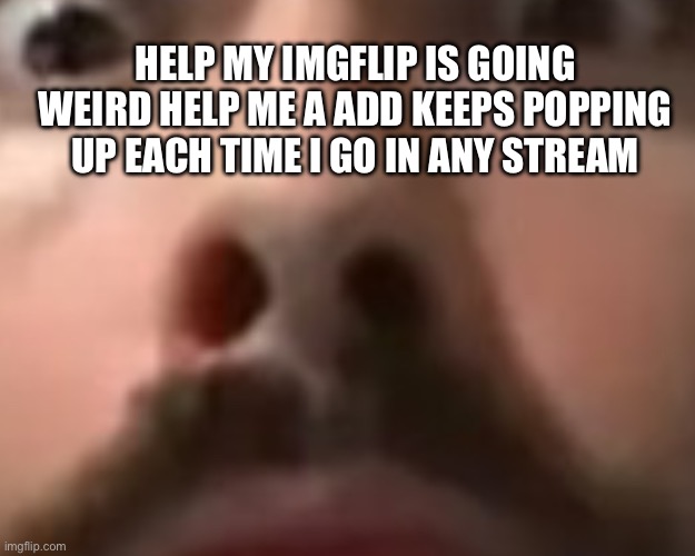 Help | HELP MY IMGFLIP IS GOING WEIRD HELP ME A ADD KEEPS POPPING UP EACH TIME I GO IN ANY STREAM | image tagged in close up moist | made w/ Imgflip meme maker