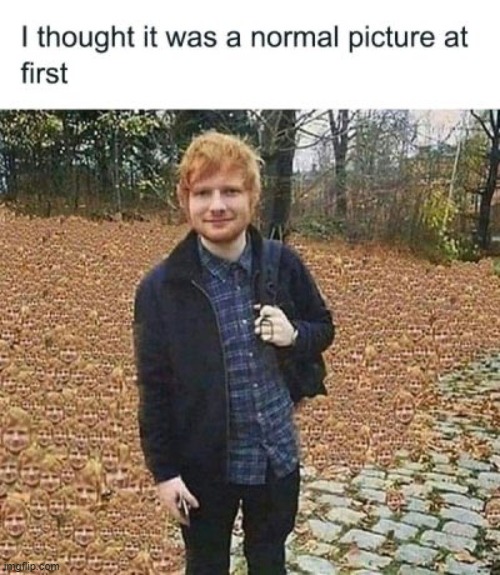 I should never have eaten the mushrooms Ed gave me... | image tagged in ed sheeran | made w/ Imgflip meme maker