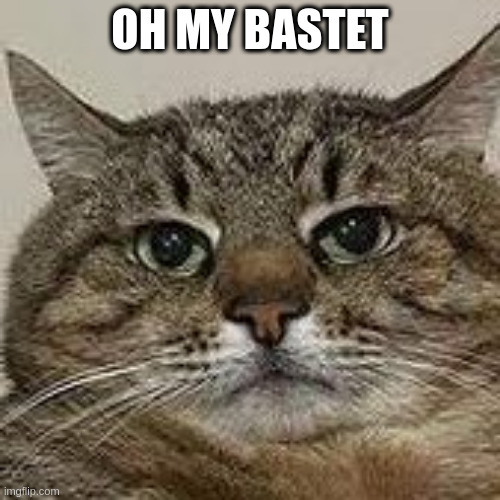 Oh my Bastet | OH MY BASTET | image tagged in stepan cat,bastet | made w/ Imgflip meme maker