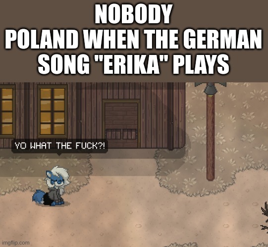 AUF DER HIDEN BLUGHT | NOBODY
POLAND WHEN THE GERMAN SONG "ERIKA" PLAYS | image tagged in cloudy wtf,germany,poland,wwii,memes | made w/ Imgflip meme maker