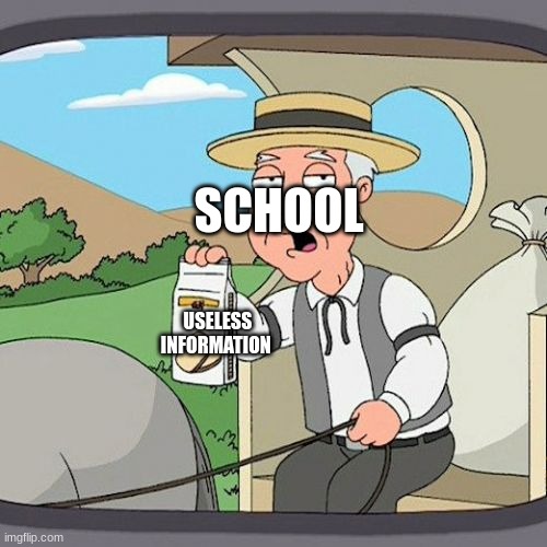 school meme | SCHOOL; USELESS INFORMATION | image tagged in memes,pepperidge farm remembers | made w/ Imgflip meme maker