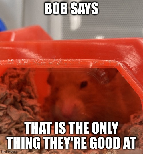 Bob the mouse | BOB SAYS THAT IS THE ONLY THING THEY'RE GOOD AT | image tagged in bob the mouse | made w/ Imgflip meme maker