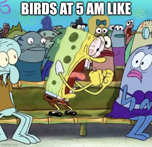 Spongebob Yelling | BIRDS AT 5 AM LIKE | image tagged in spongebob yelling | made w/ Imgflip meme maker
