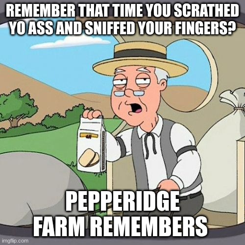 I KNOW | REMEMBER THAT TIME YOU SCRATHED YO ASS AND SNIFFED YOUR FINGERS? PEPPERIDGE FARM REMEMBERS | image tagged in memes,pepperidge farm remembers | made w/ Imgflip meme maker