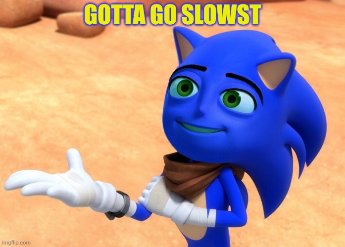 GOTTA GO SLOWST | image tagged in the sanic movie | made w/ Imgflip meme maker