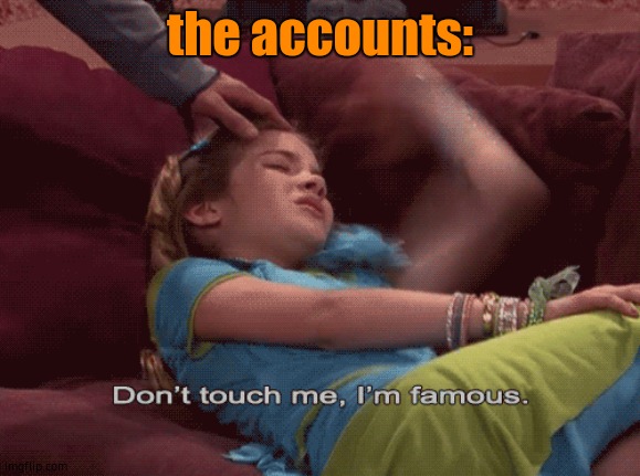 Don't Touch me I'm famous | the accounts: | image tagged in don't touch me i'm famous | made w/ Imgflip meme maker