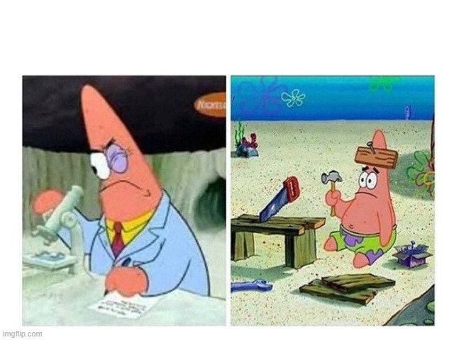 hsap | image tagged in patrick scientist vs nail | made w/ Imgflip meme maker
