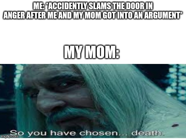 ME: *ACCIDENTLY SLAMS THE DOOR IN ANGER AFTER ME AND MY MOM GOT INTO AN ARGUMENT*; MY MOM: | image tagged in fun | made w/ Imgflip meme maker