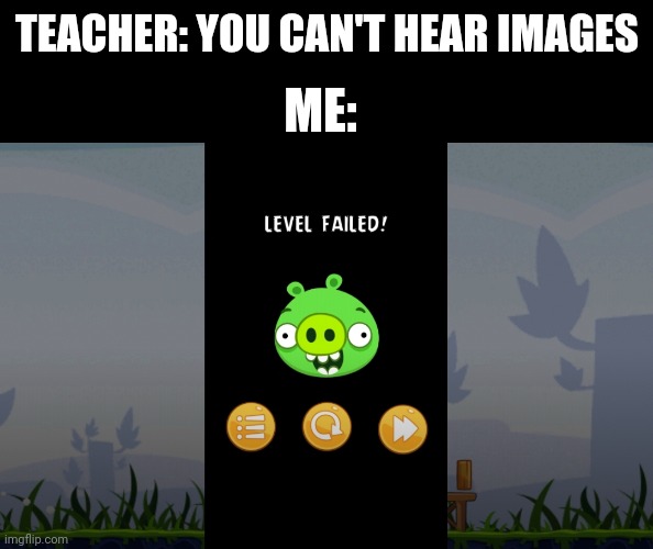 If you played the original, you deserve a veteran's discount. | ME:; TEACHER: YOU CAN'T HEAR IMAGES | image tagged in memes,angry birds,you can't hear pictures | made w/ Imgflip meme maker